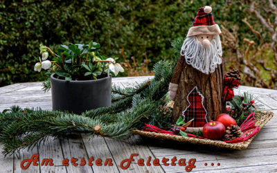 Zwischen Schnee & Regen