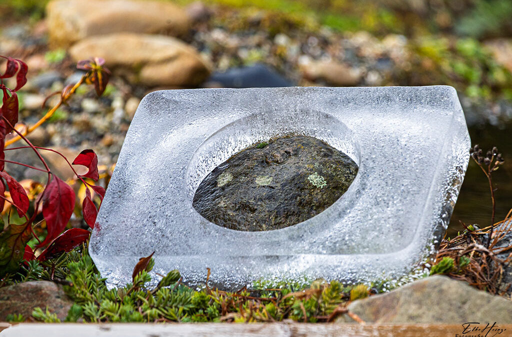 Und erstens kommt es anders . . .