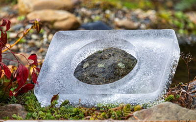 Und erstens kommt es anders . . .