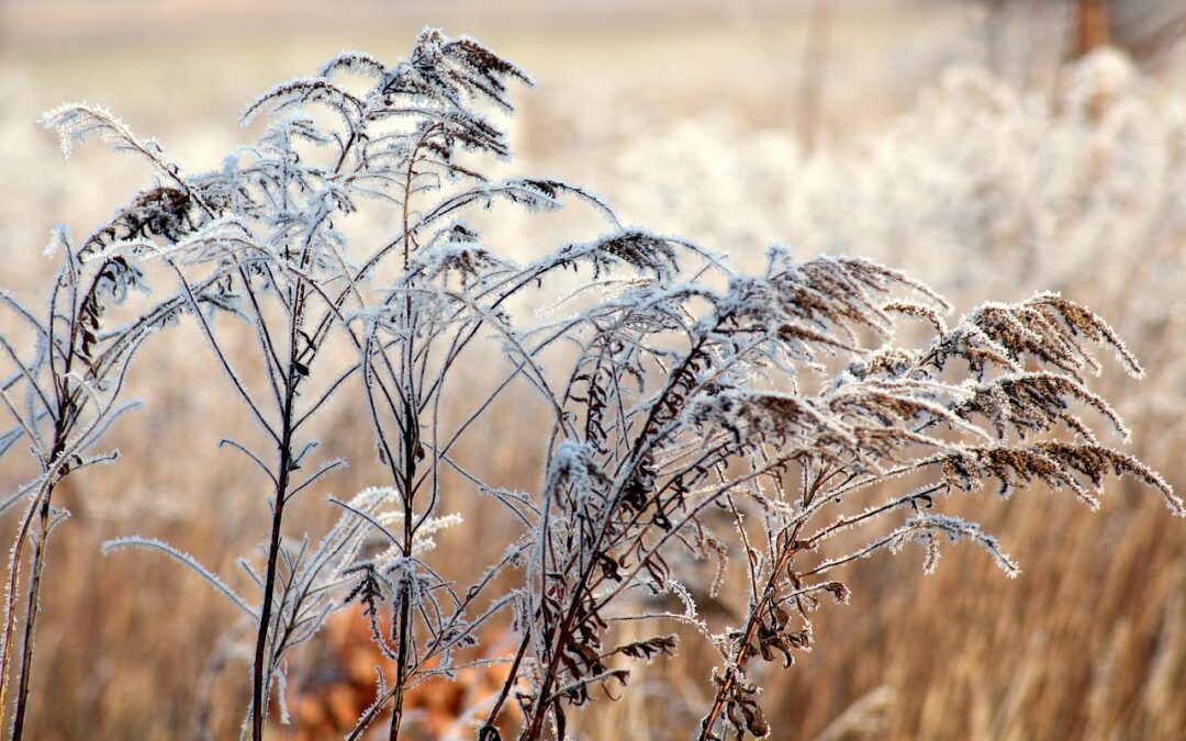 Ein neuer Anfang – doch warum?