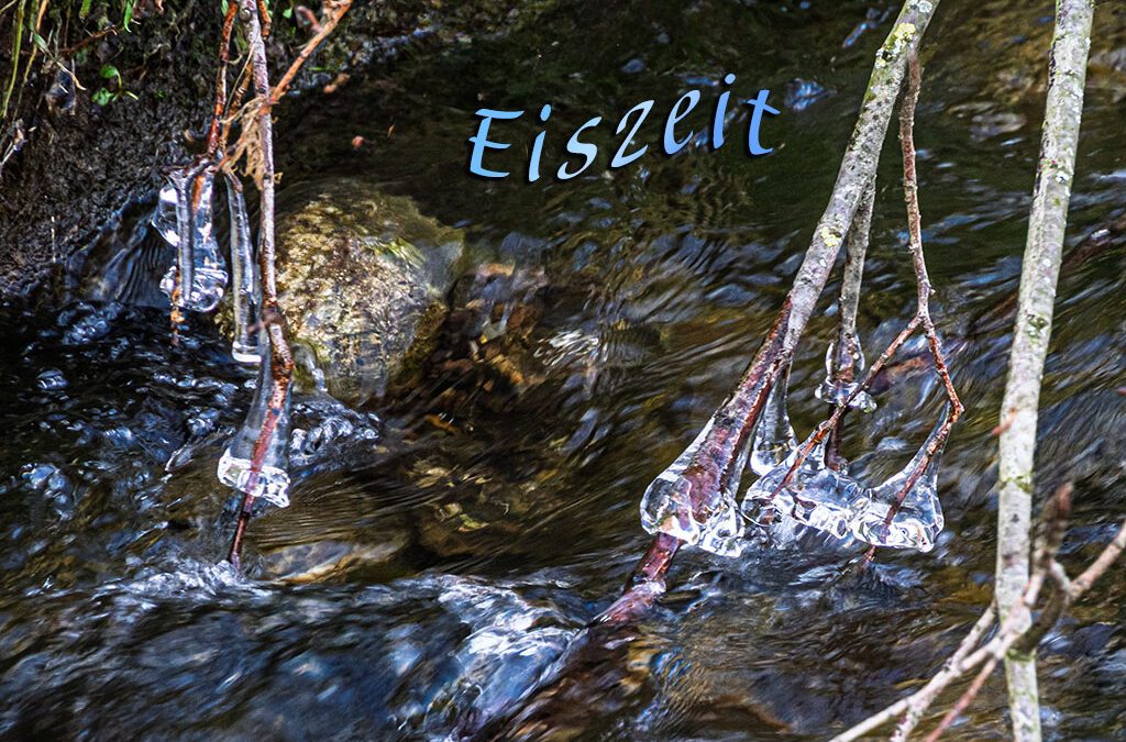 Kleiner Vormittagsspaziergang