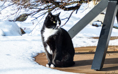 Kurzer Gruß mit Mila