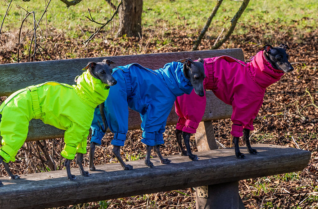 Buntes gegen den Winterblues