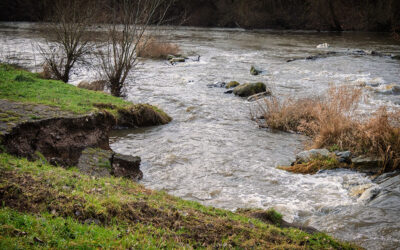 Viel Wasser in der Nidda, aber sonst nicht viel