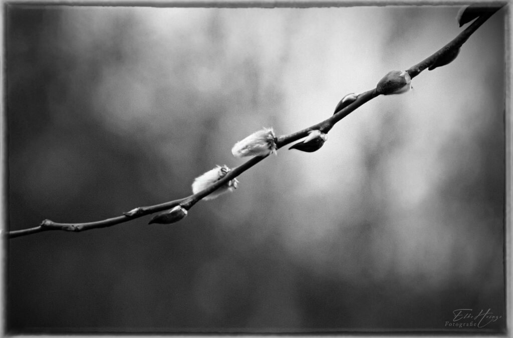 Zurückdrehen nicht vergessen!