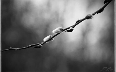 Zurückdrehen nicht vergessen!