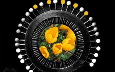 Tag 3 & Regenpause im Garten