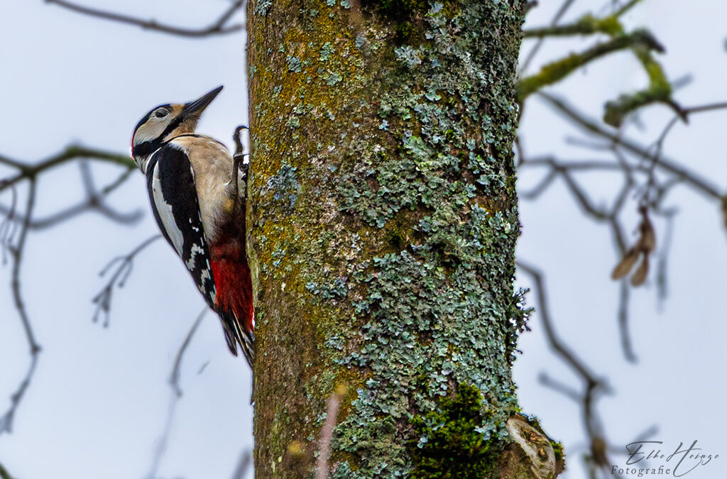 Frühlingsgefühle allüberall