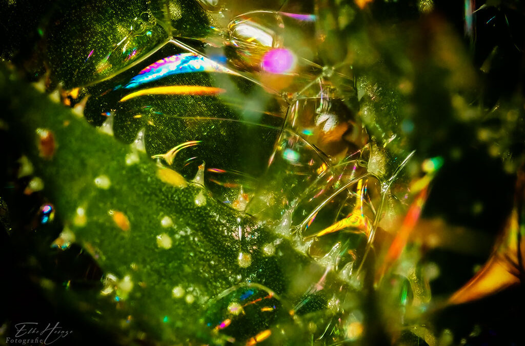 Tag 6 – Seife im Mund *bäh!*