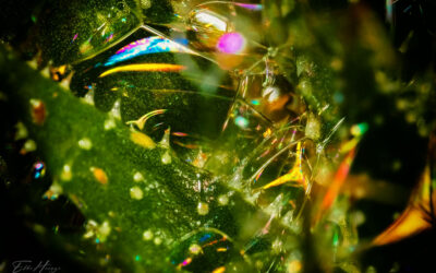 Tag 6 – Seife im Mund *bäh!*