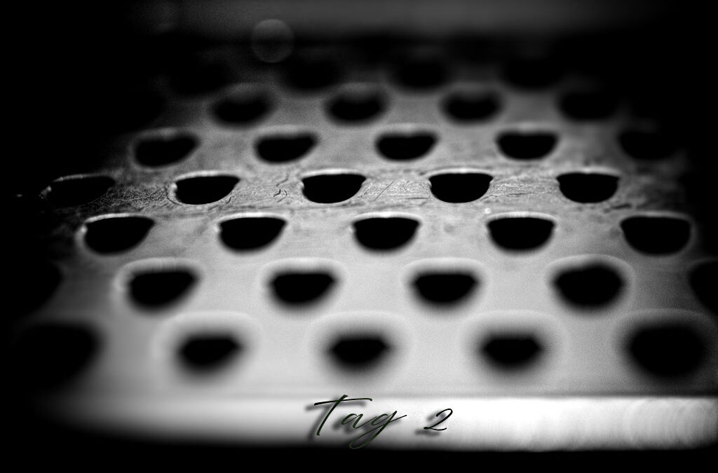 Mini-Projekt – Tag 2