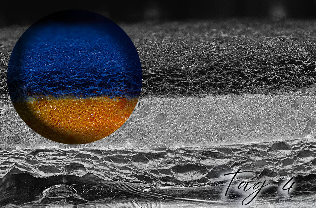 Tag 4 – Makros & Neues vom Frühling