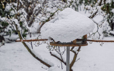 Kontrastprogramm – schon wieder *seufz*!