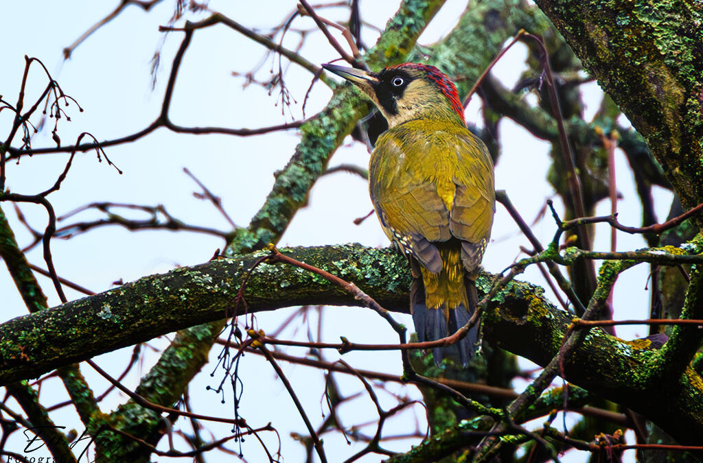 Mal wieder quietschnass