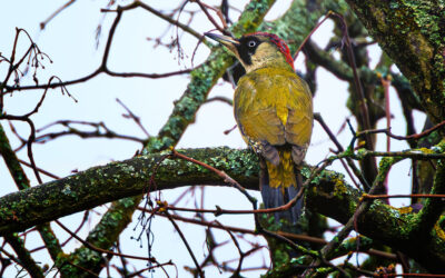 Mal wieder quietschnass