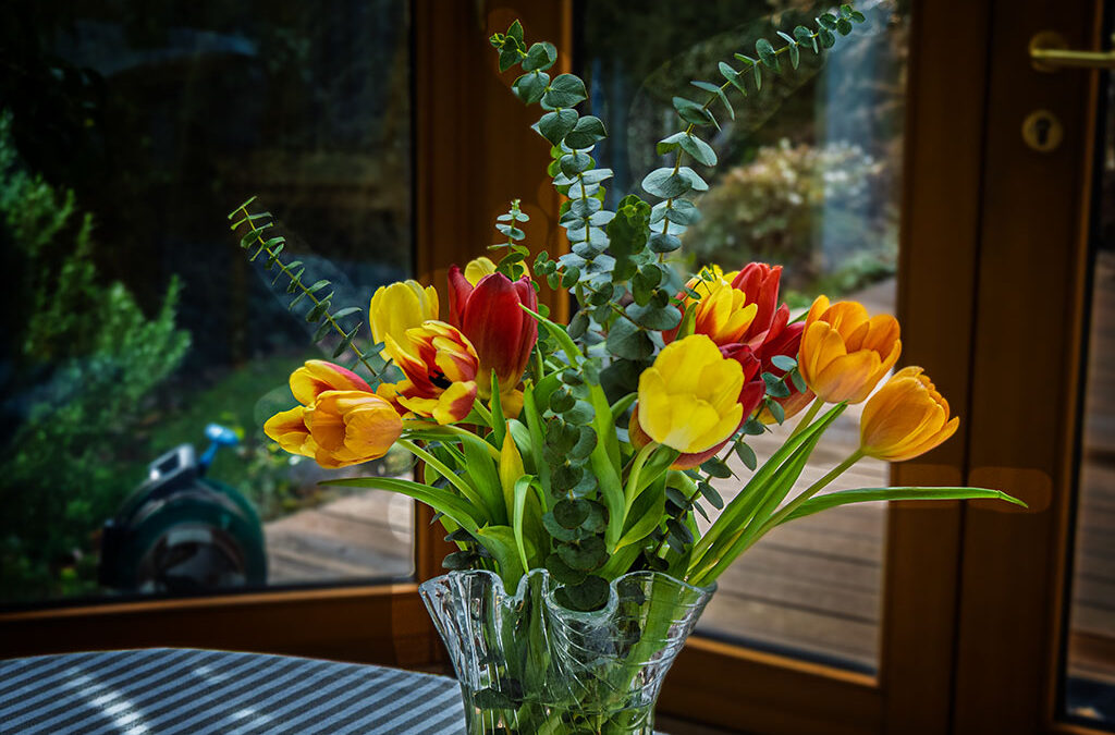 Aprilwetter & Freitagsblümchen