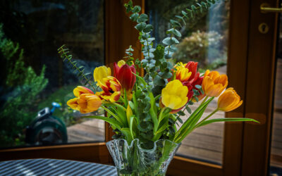 Aprilwetter & Freitagsblümchen