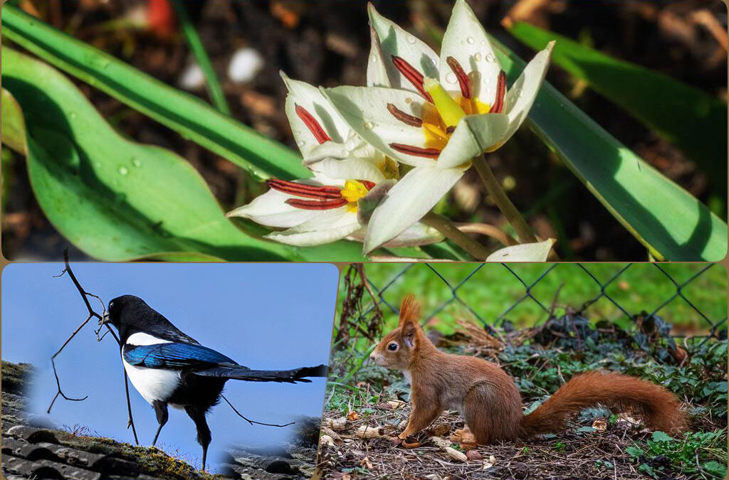 19° C und immer noch schön