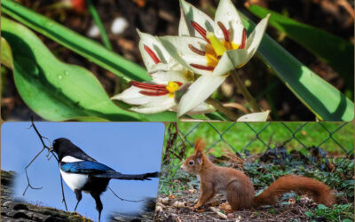 19° C und immer noch schön