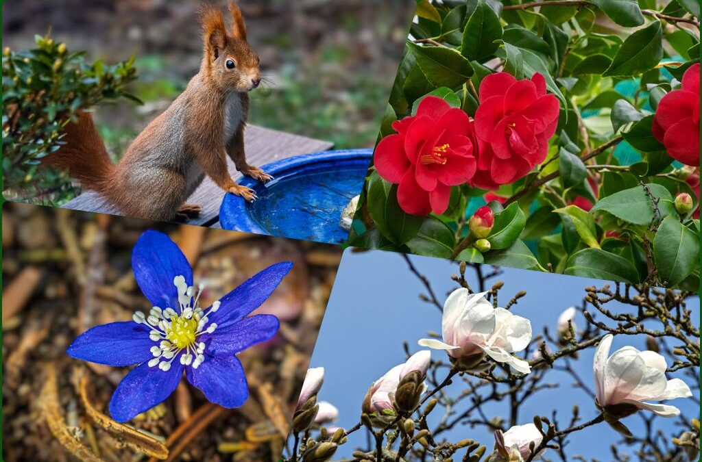 Kleiner Quartalsrückblick