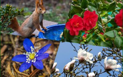 Kleiner Quartalsrückblick