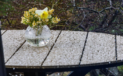 Uaaa – Aprilwetter!