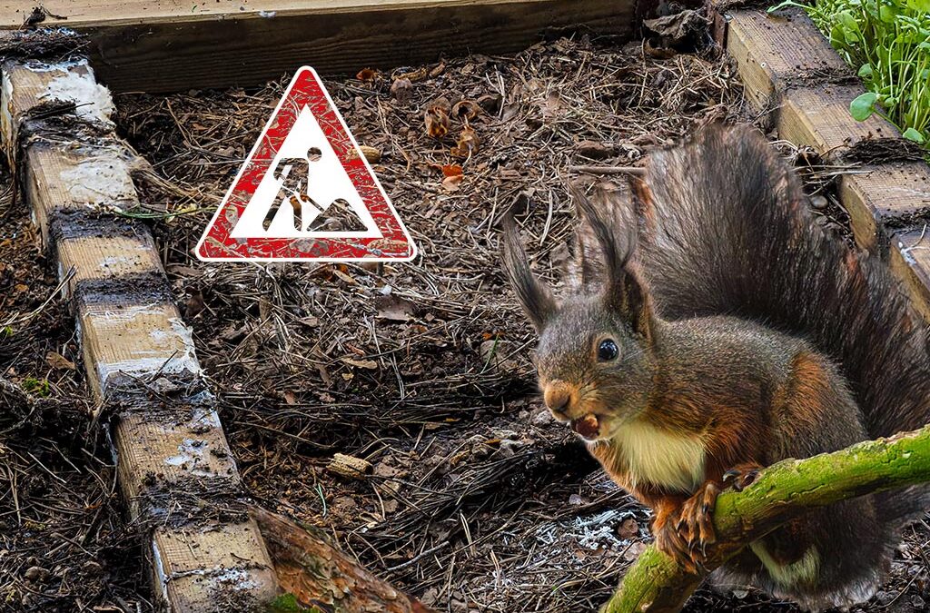 Gartentag – es wird wieder!