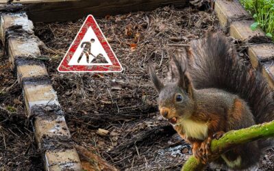 Gartentag – es wird wieder!