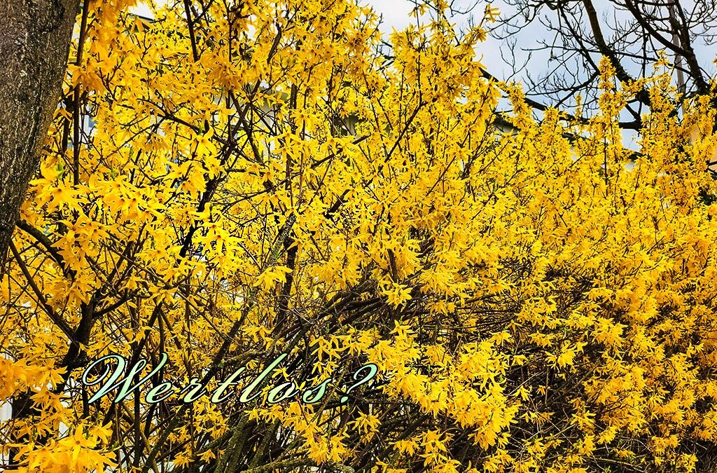 Zwei Sonntagsspaziergänge