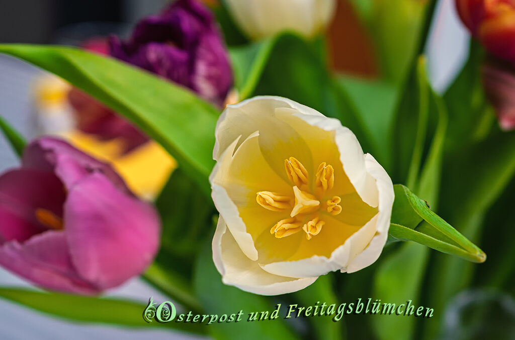 Schönes an kalten Frühlingstagen