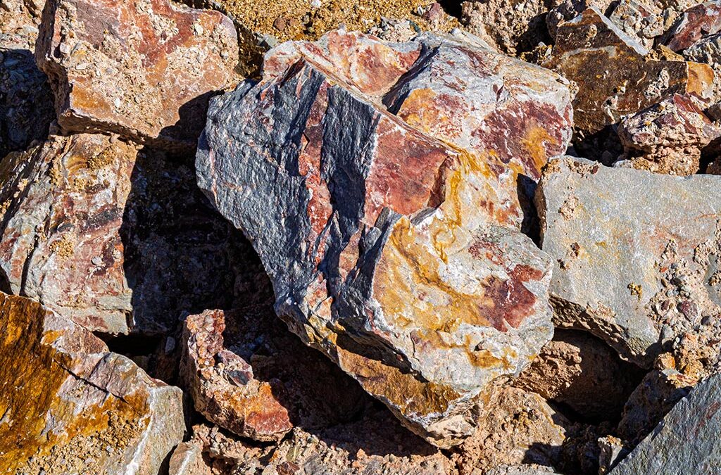 Steine, Matsch und Molche