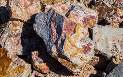 Steine, Matsch und Molche