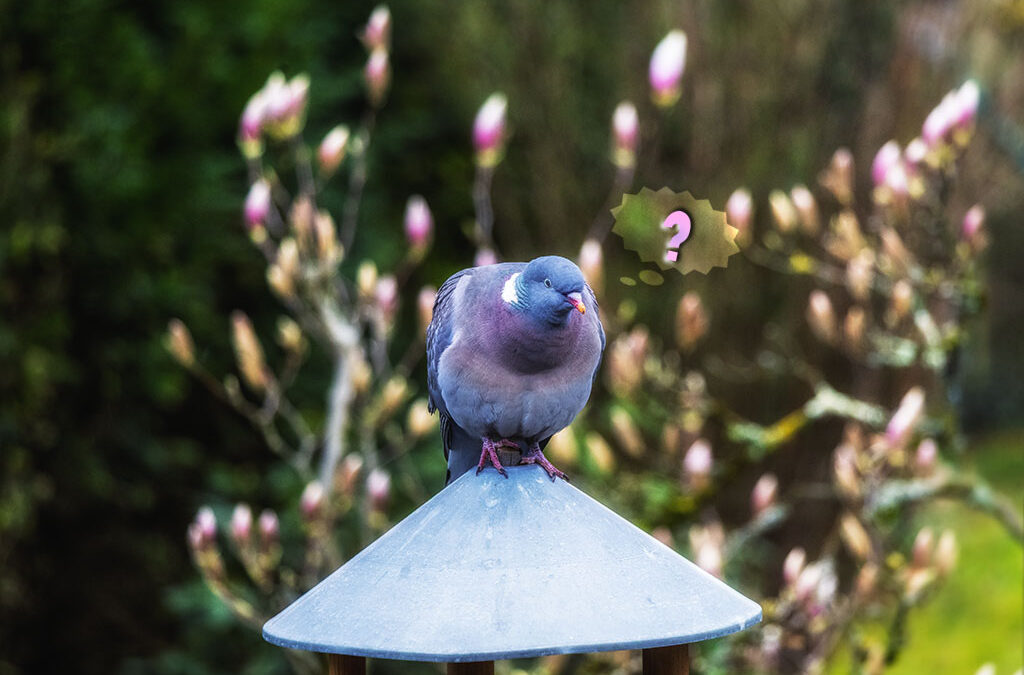 Wo ist er denn nur hin – der Frühling?