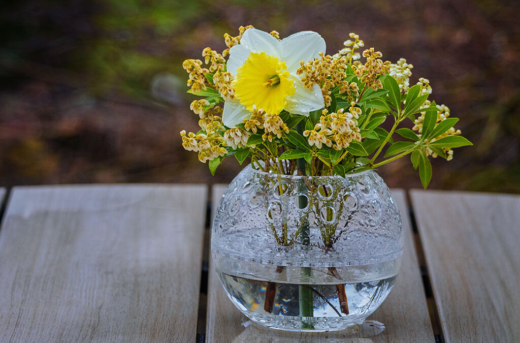 Regen, Eichhörnchen & erste Erdbeeren