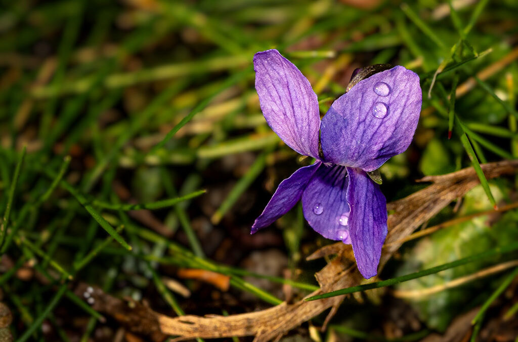Dieses Wetter ist gefährlich!