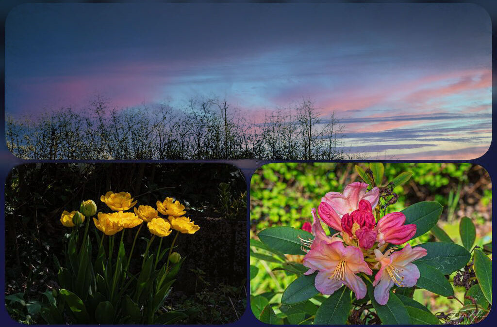 Schäfchenwolken & Gartenarbeit