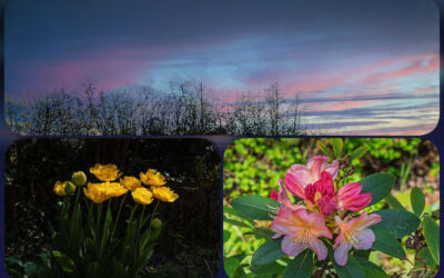 Schäfchenwolken & Gartenarbeit