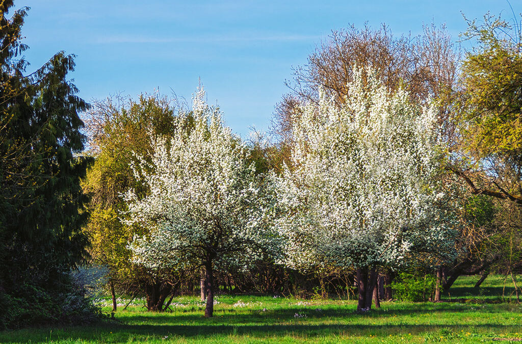 Durch’s Arboretum am Ostermontag