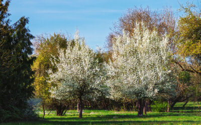 Durch’s Arboretum am Ostermontag