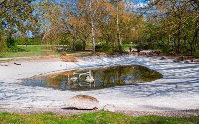 O weh – Wassernotstand in Kelsterbach?