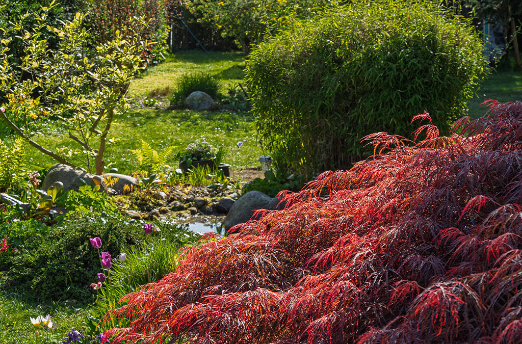 Farbenpracht & Traumwetter