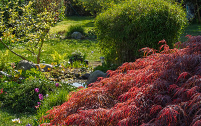 Farbenpracht & Traumwetter