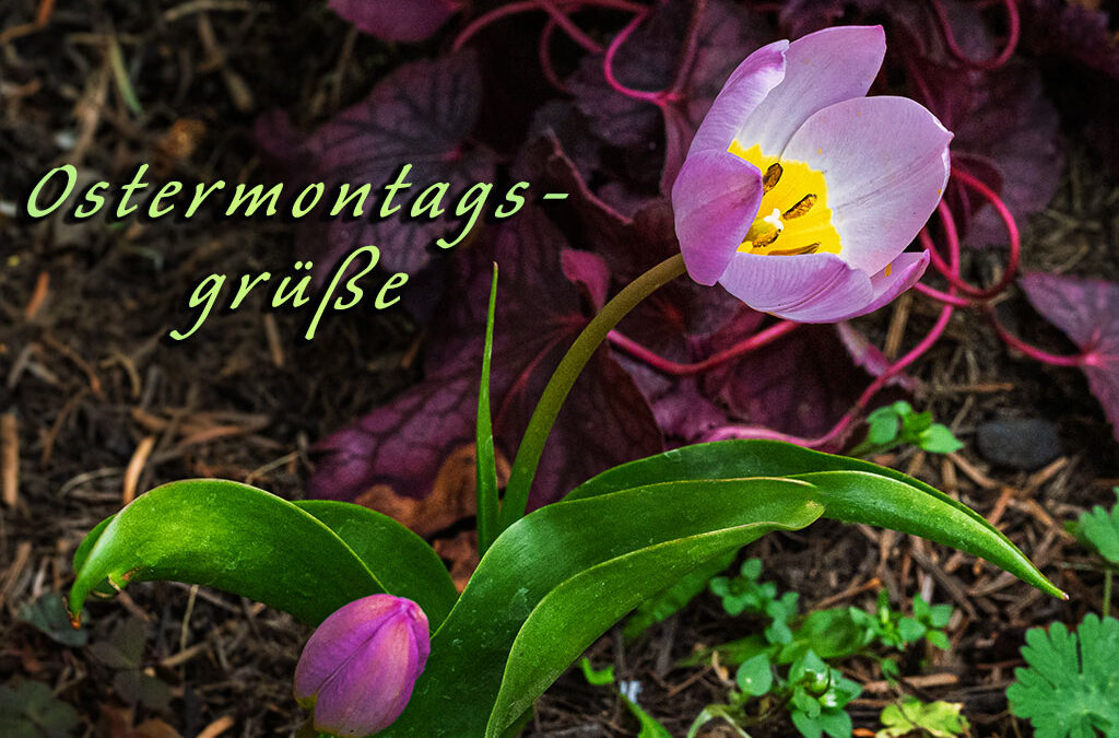 Endlich ohne kalten Wind