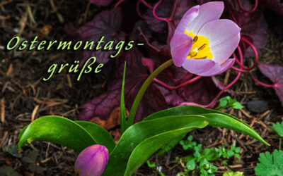 Endlich ohne kalten Wind