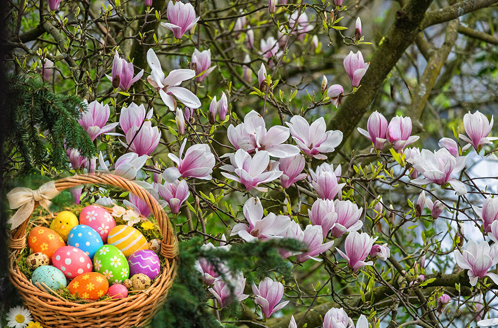 Frohe Ostern & Magnolien 2.0