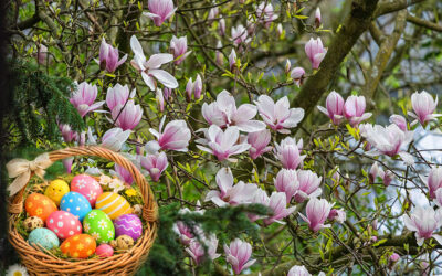 Frohe Ostern & Magnolien 2.0