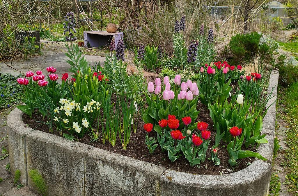 Abenteuerliche Fahrt zu einer . . .