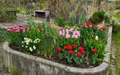 Abenteuerliche Fahrt zu einer . . .
