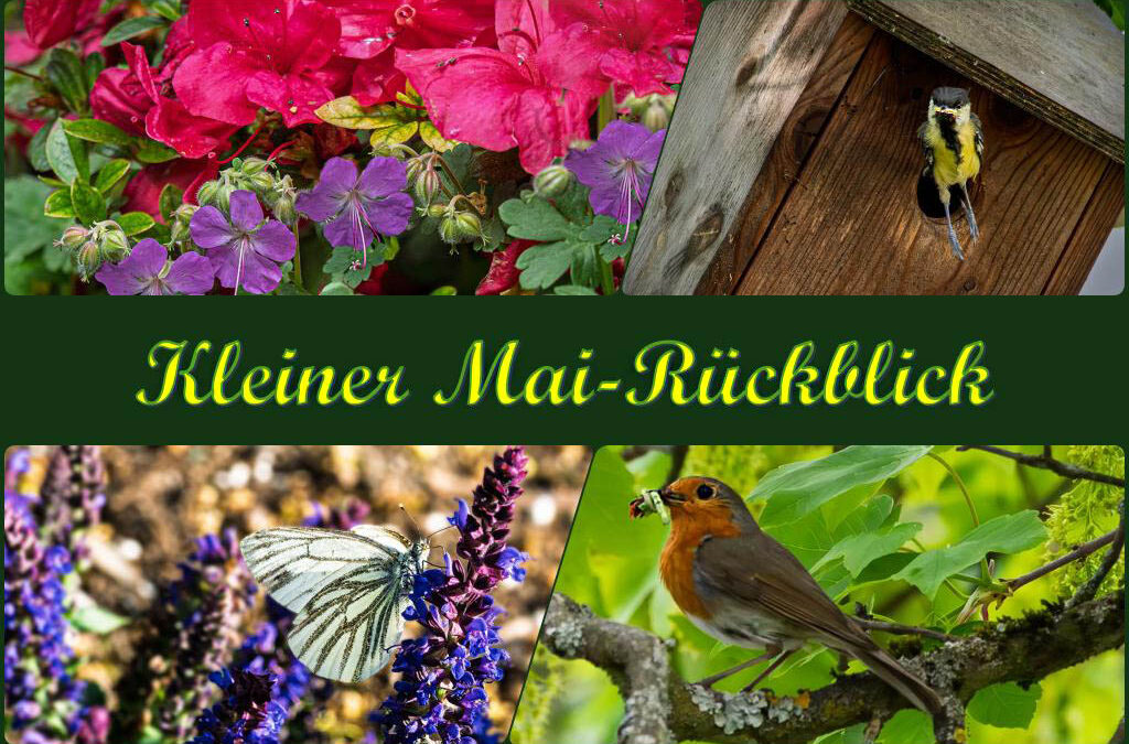 Der Mai – Abschied mit Getöse