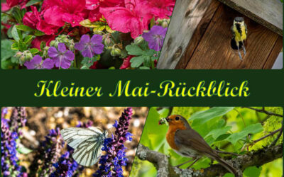 Der Mai – Abschied mit Getöse